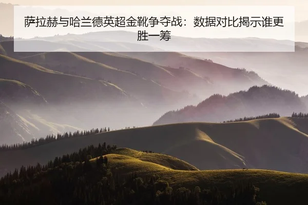 sa-la-he-yu-ha-lan-de-ying-chao-jin-xue-zheng-duo-zhan-shu-ju-dui-bi-jie-shi-shui-geng-sheng-yi-chou-2-375.jpg