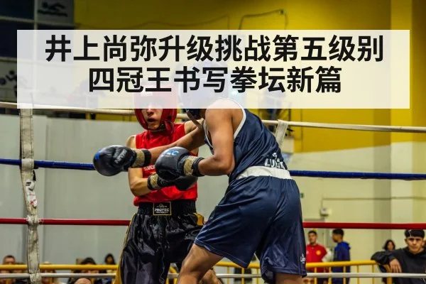 井上尚弥升级挑战第五级别四冠王书写拳坛新篇