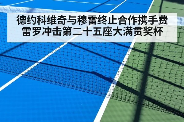 德约科维奇与穆雷终止合作携手费雷罗冲击第二十五座大满贯奖杯